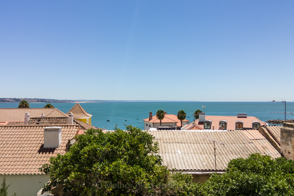 IMG_20170728_134255.jpg IMG_20170728_134255.jpg