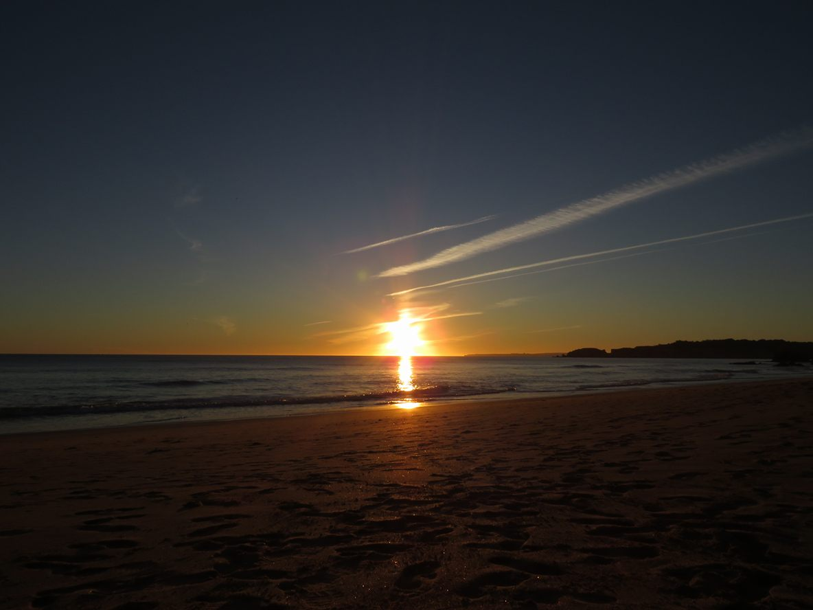 0151A4B2-4493-47D1-9830-42F3410C1ACA.png 0151A4B2-4493-47D1-9830-42F3410C1ACA.png