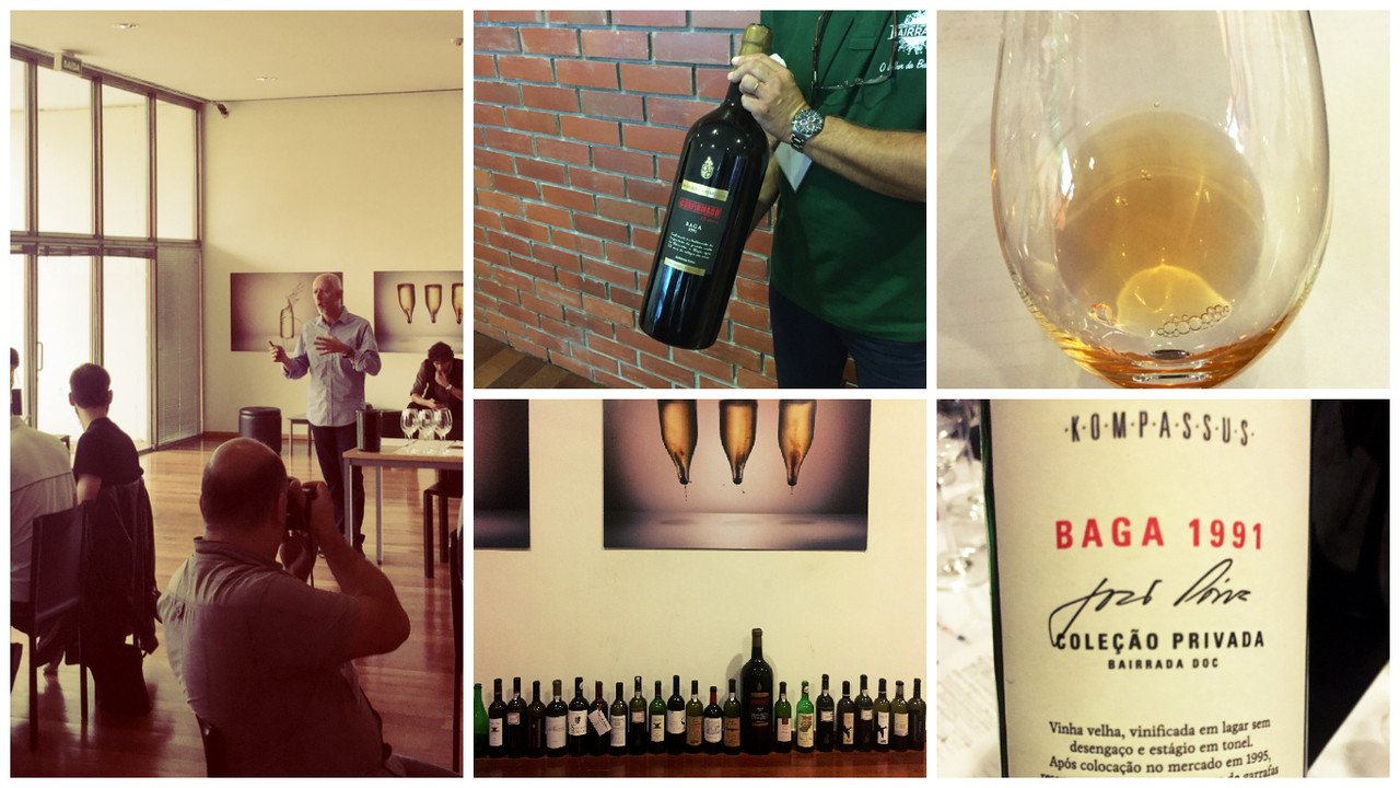 Bairrada – Três Vindimas de Excelência: 1991, 2001 e 2011" - Luís Lopes