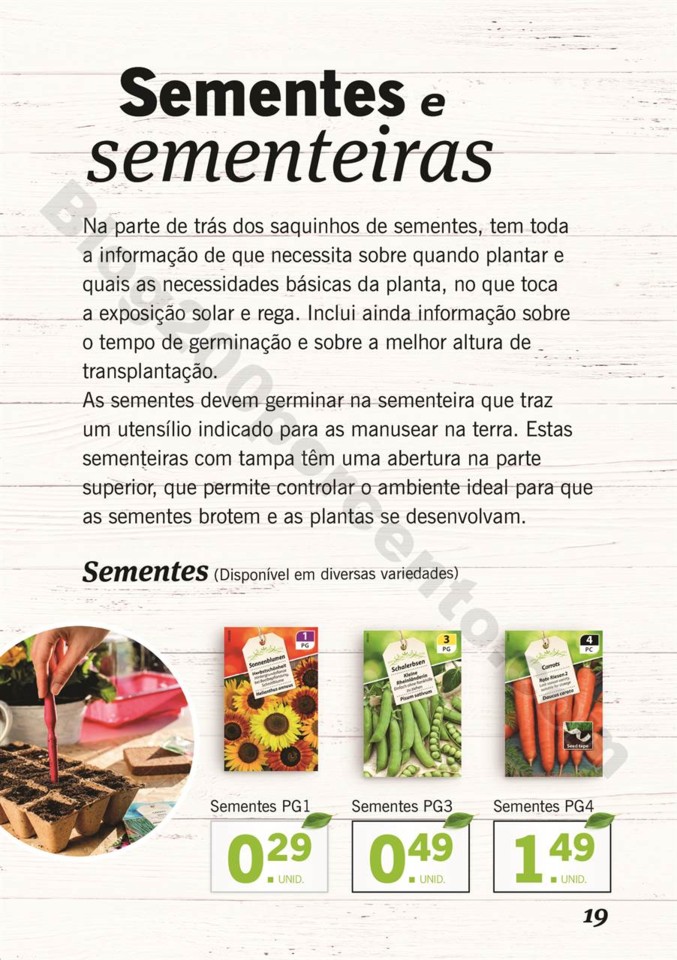 plantas_lidl_mercado_018.jpg
