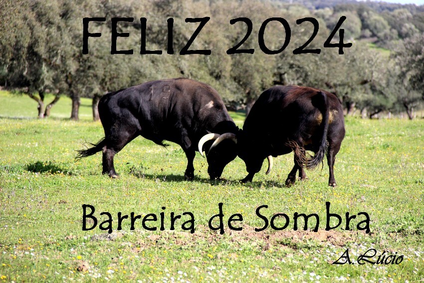 feliz 2024.JPG