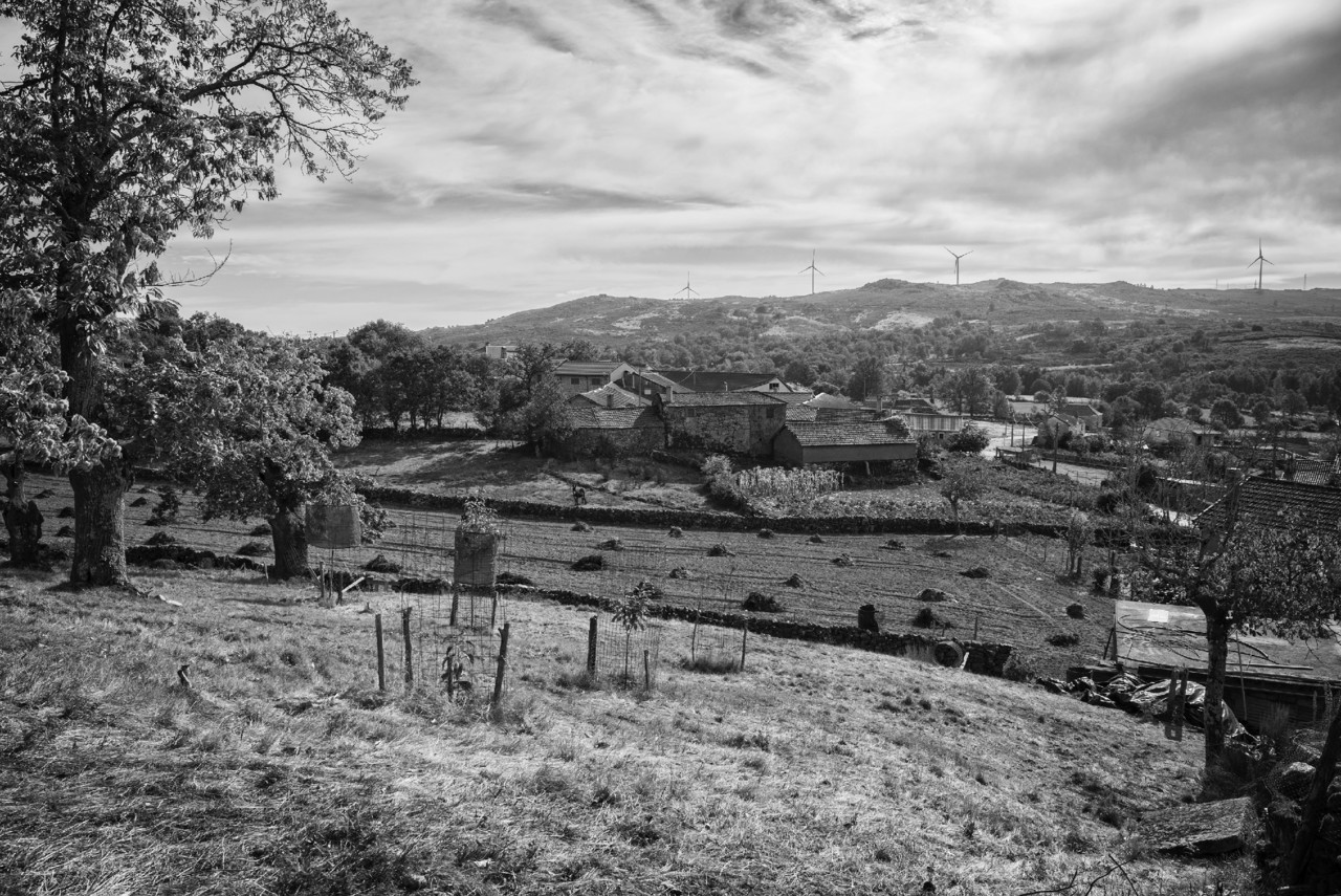 _JMF7367 - cópia copy.jpg _JMF7367 - cópia copy.jpg