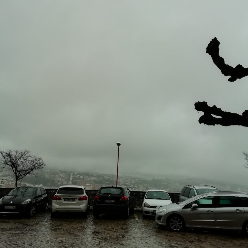 IMG_20191216_112602.jpg IMG_20191216_112602.jpg