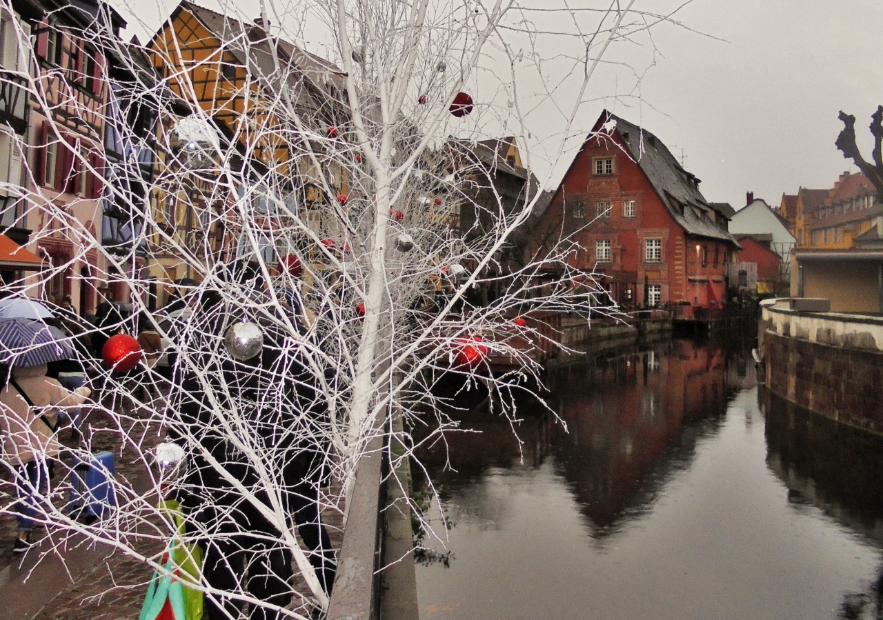 Colmar_3.JPG
