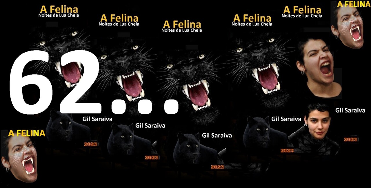 A Felina - 62.jpg