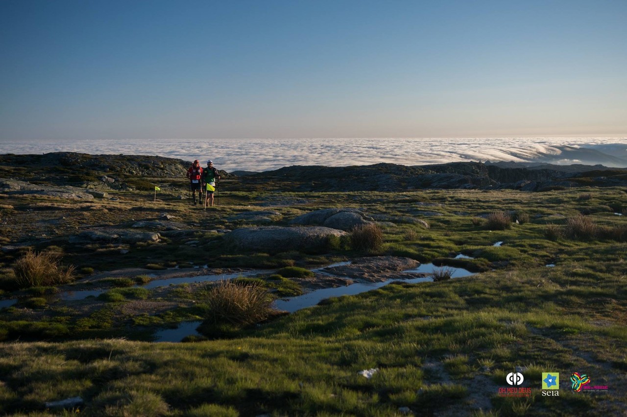 13497796_1335272419834474_8987894621674669616_o