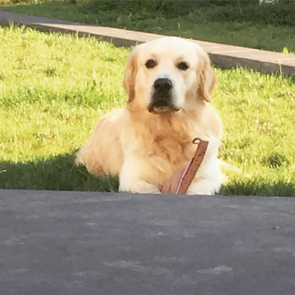 image.jpeg