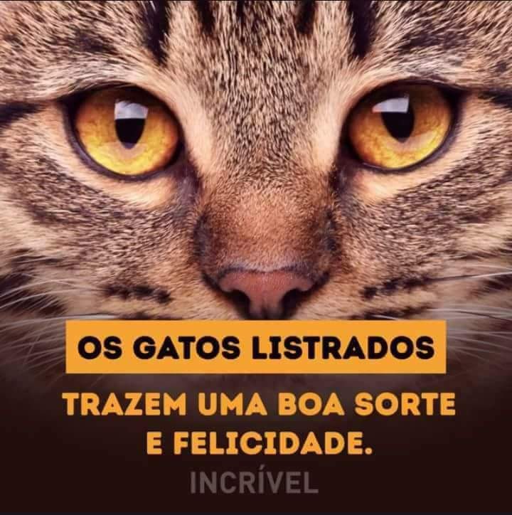 FB_IMG_1494613100322.jpg FB_IMG_1494613100322.jpg