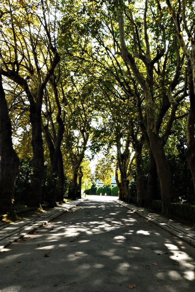 Entrada Palácio de Cristal.JPG