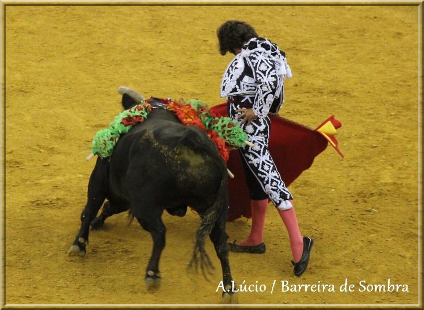 IMG_6607.JPG IMG_6607.JPG