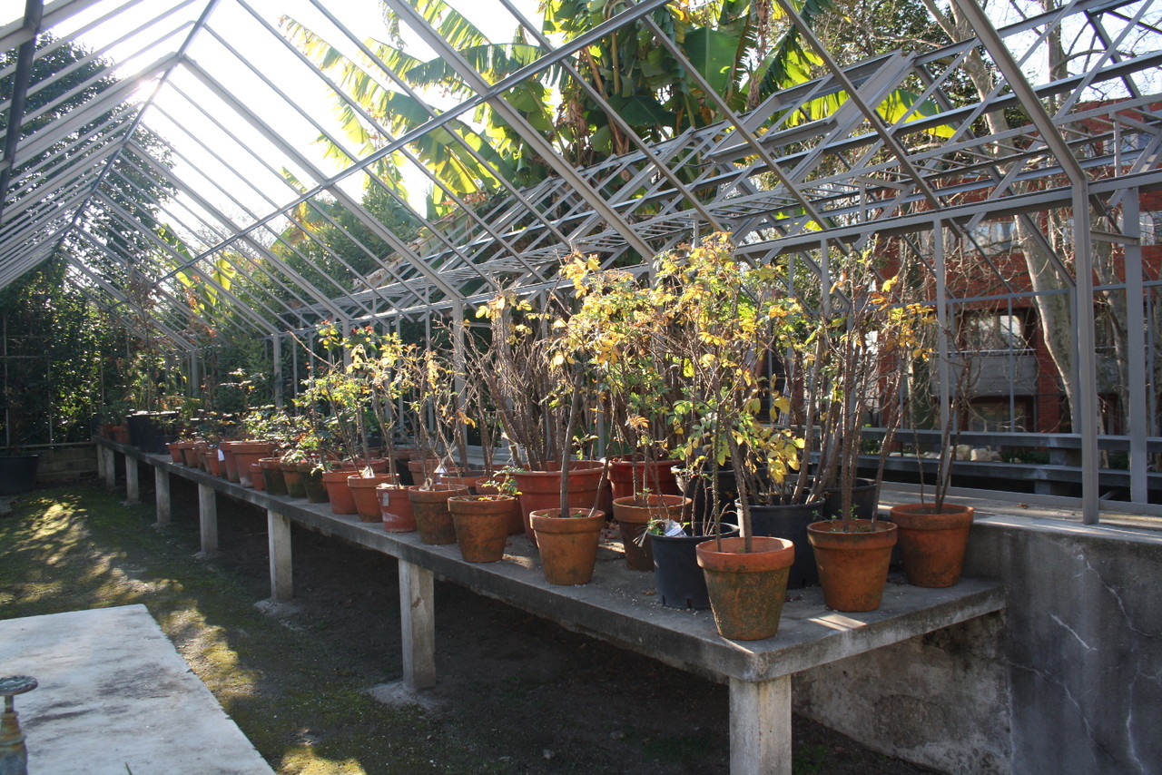 IMG_8157.JPG IMG_8157.JPG