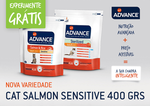 galeria.png galeria.png