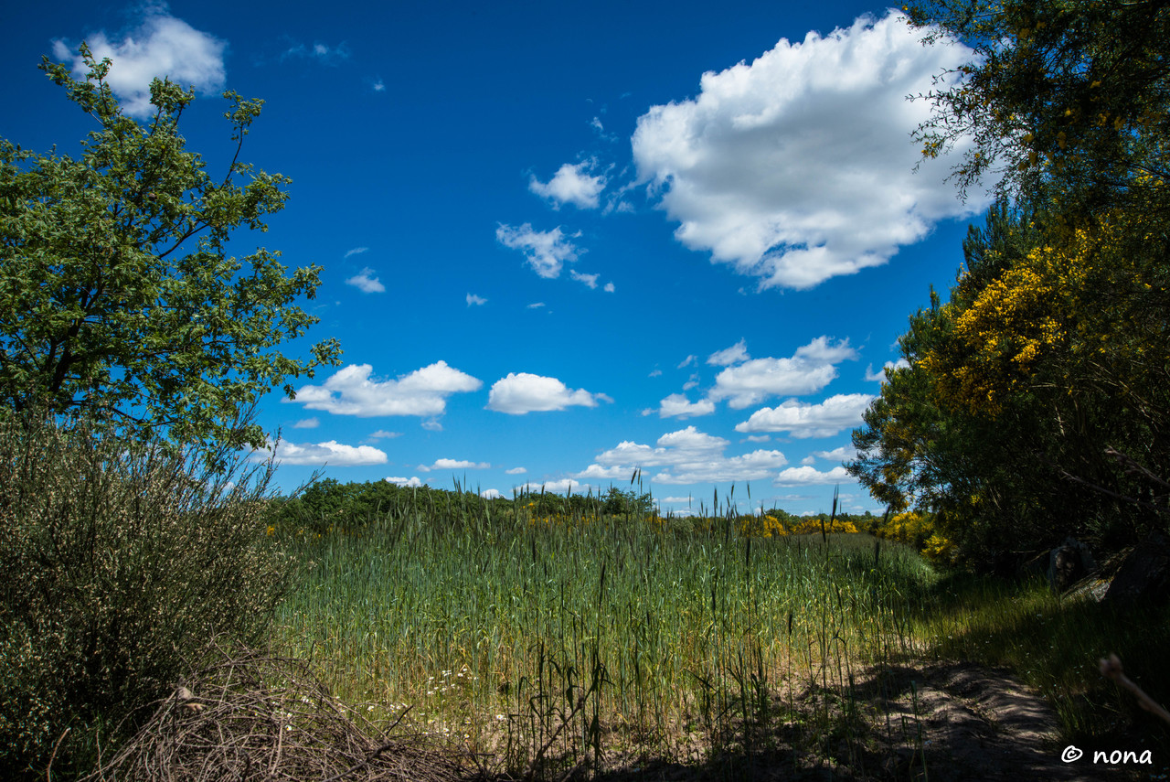 14.- Vagueando pela Montanha.jpg