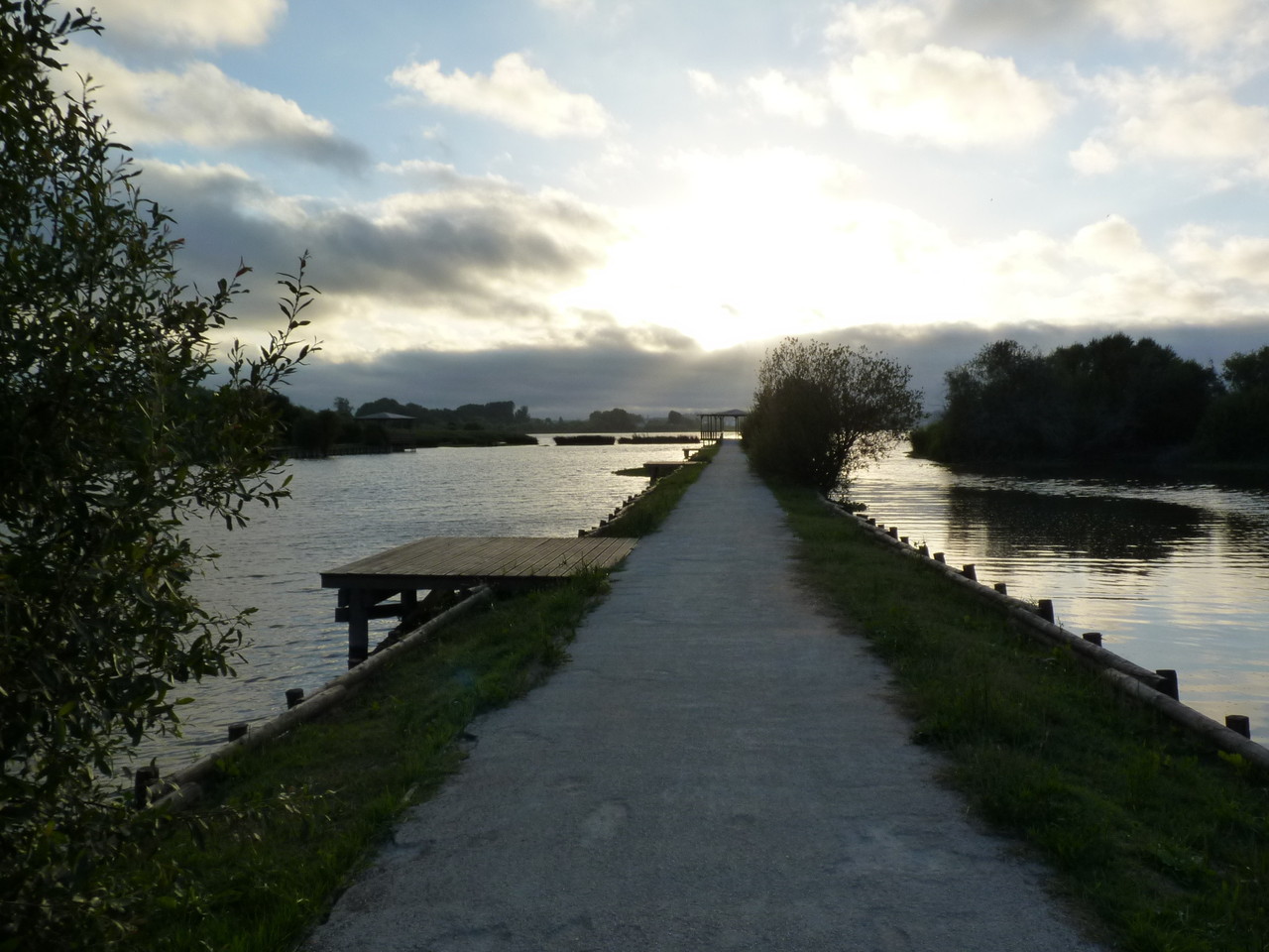 Pateira de Fermentelos (16).JPG