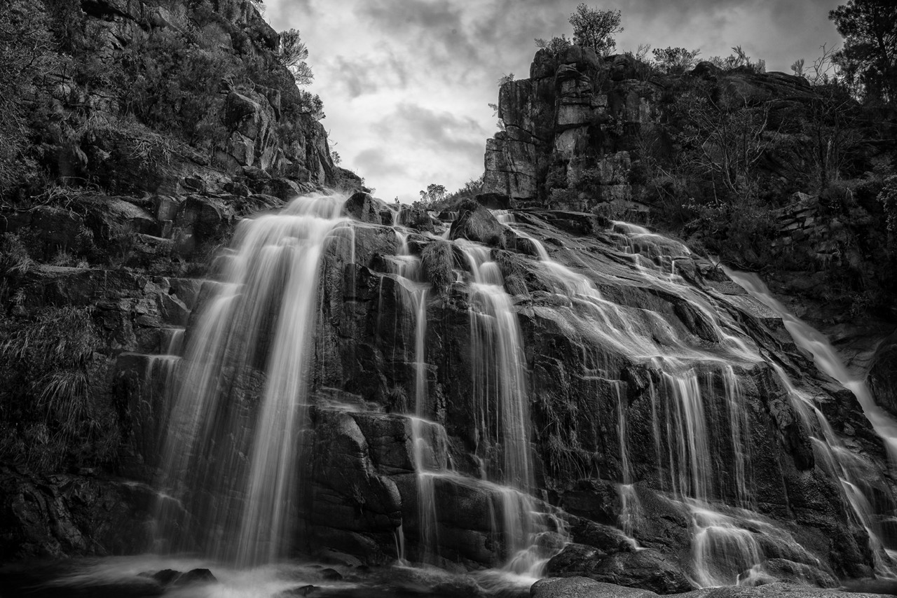 _JMF1397 - cópia copy.jpg _JMF1397 - cópia copy.jpg