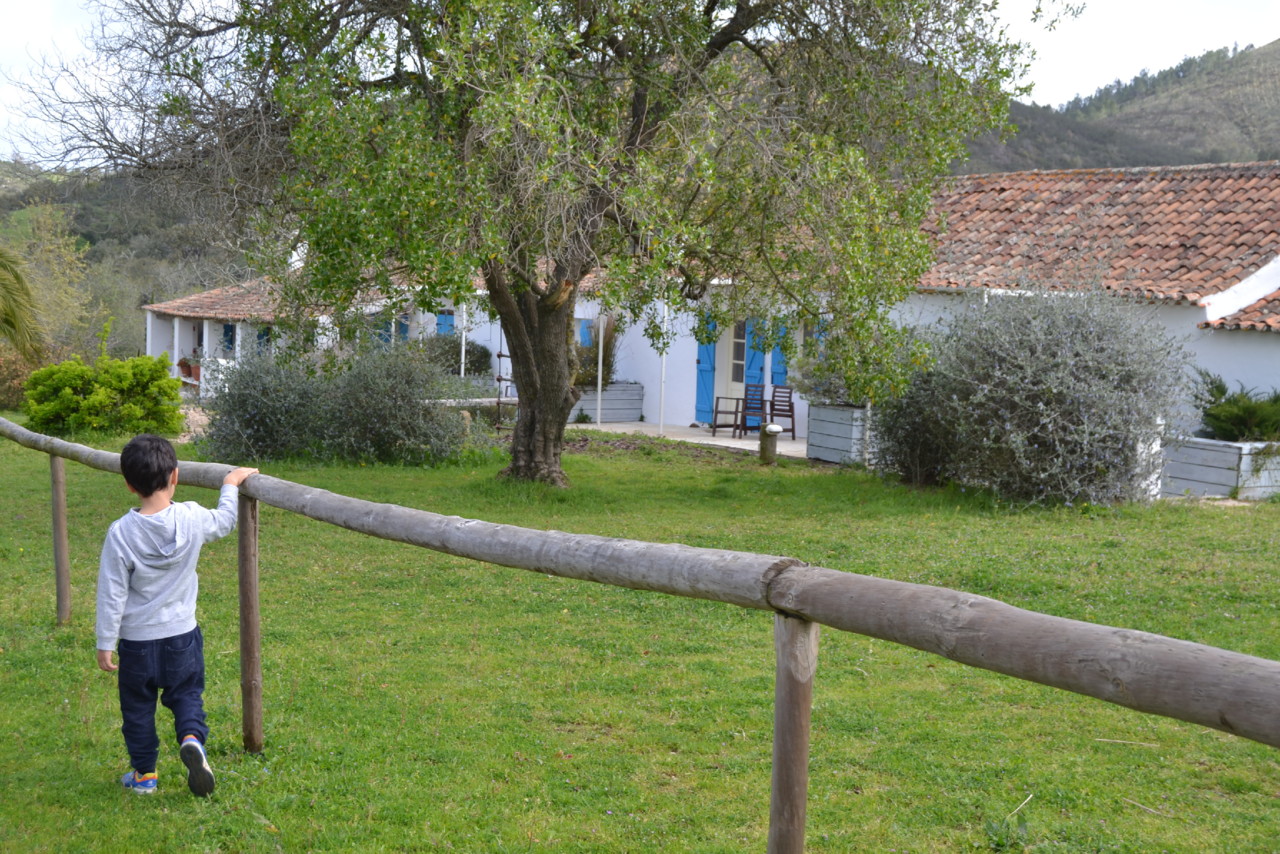 DSC_0957.jpg DSC_0957.jpg