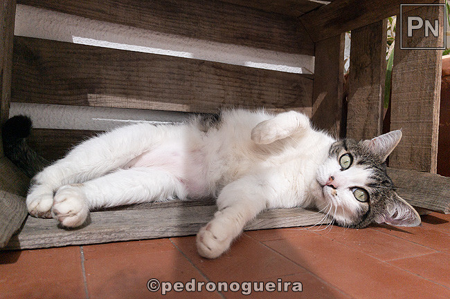 Mar_2022_011 650px.jpg