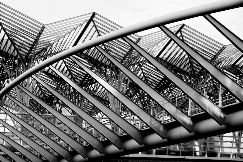 _MG_9475 geometrias.jpg