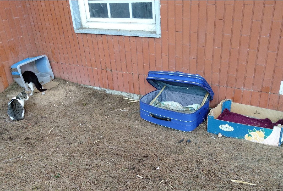 SquarePic_20200919_19002135.jpg SquarePic_20200919_19002135.jpg