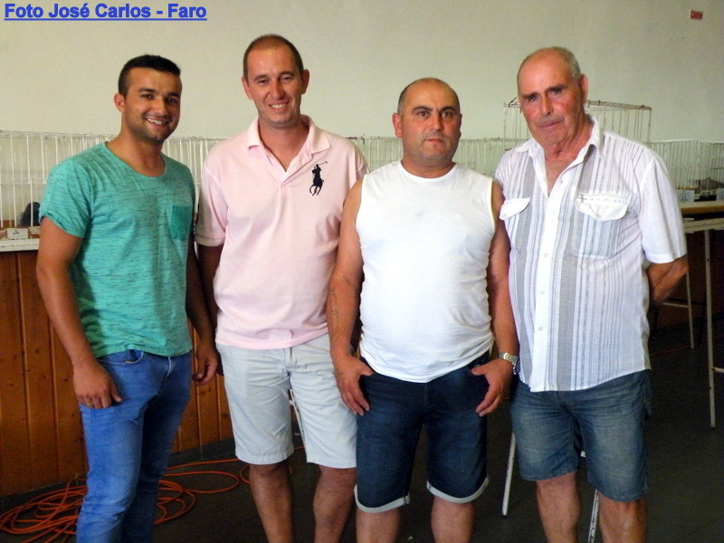 Leilão Ervidel 2017 023.JPG