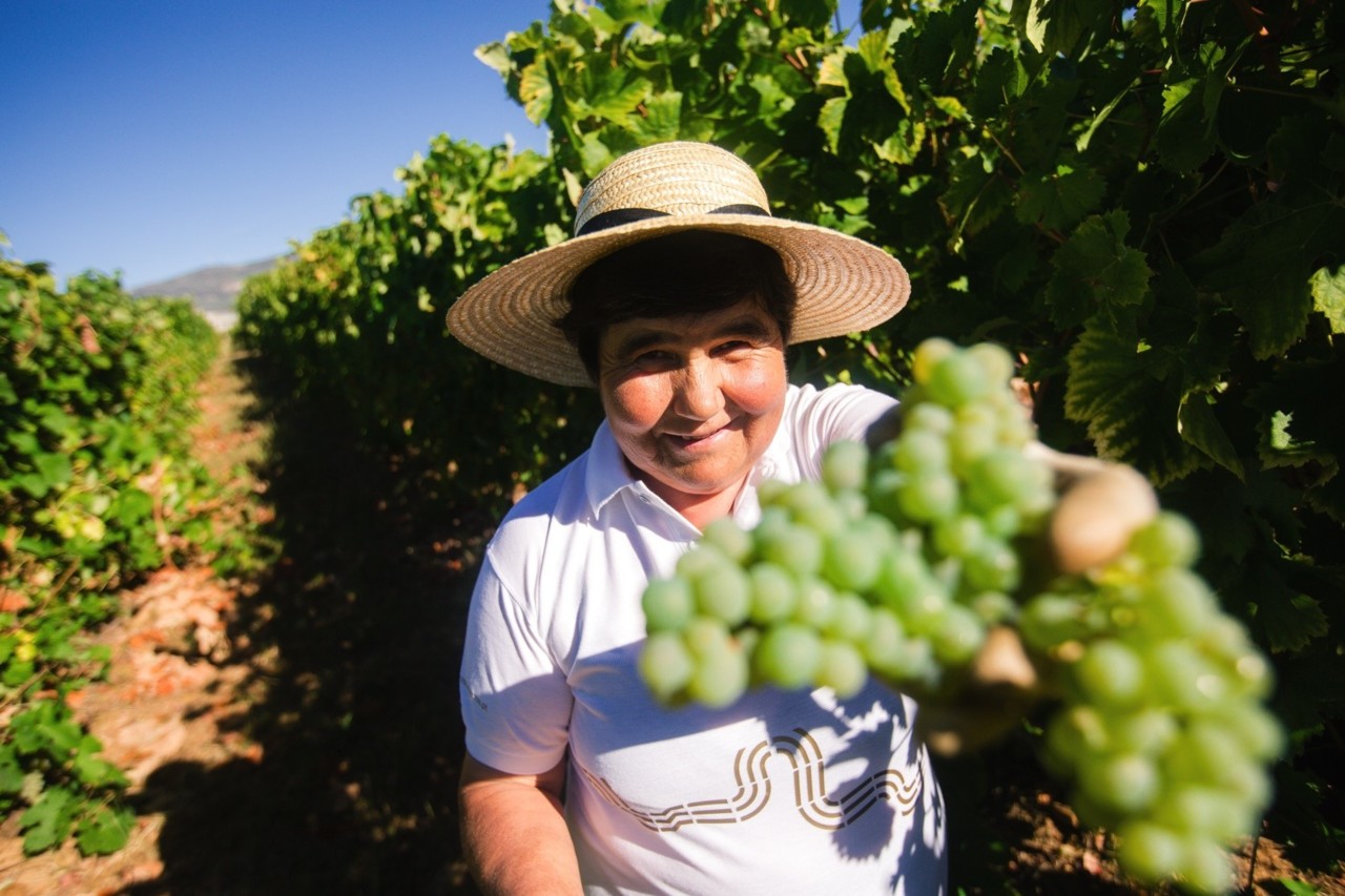 Lavradores de Feitoria