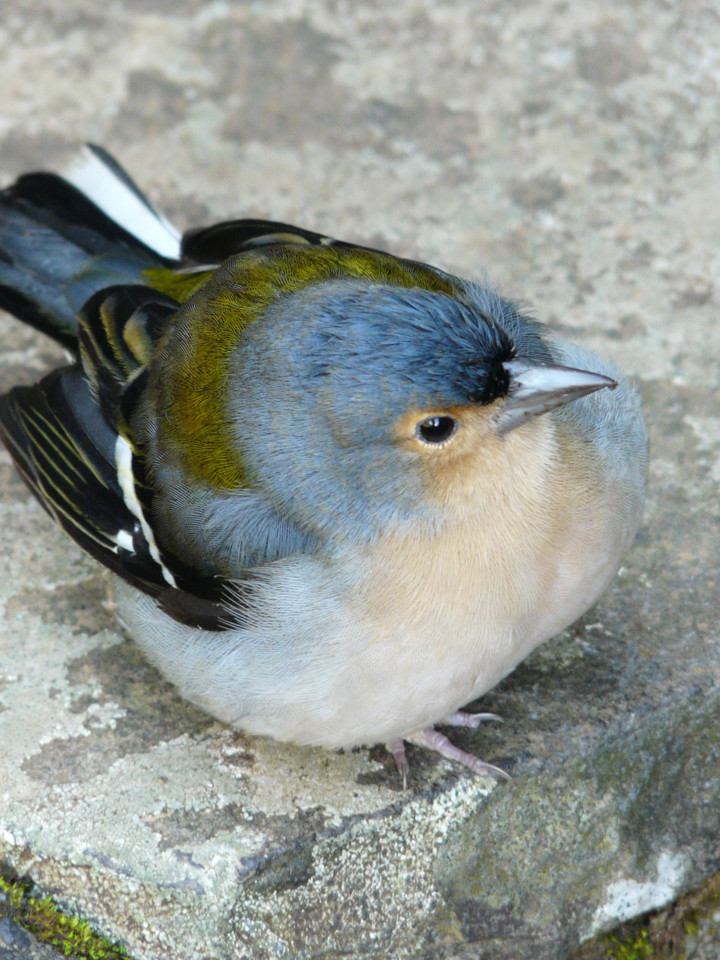 25 Fontes (6).jpg 25 Fontes (6).jpg