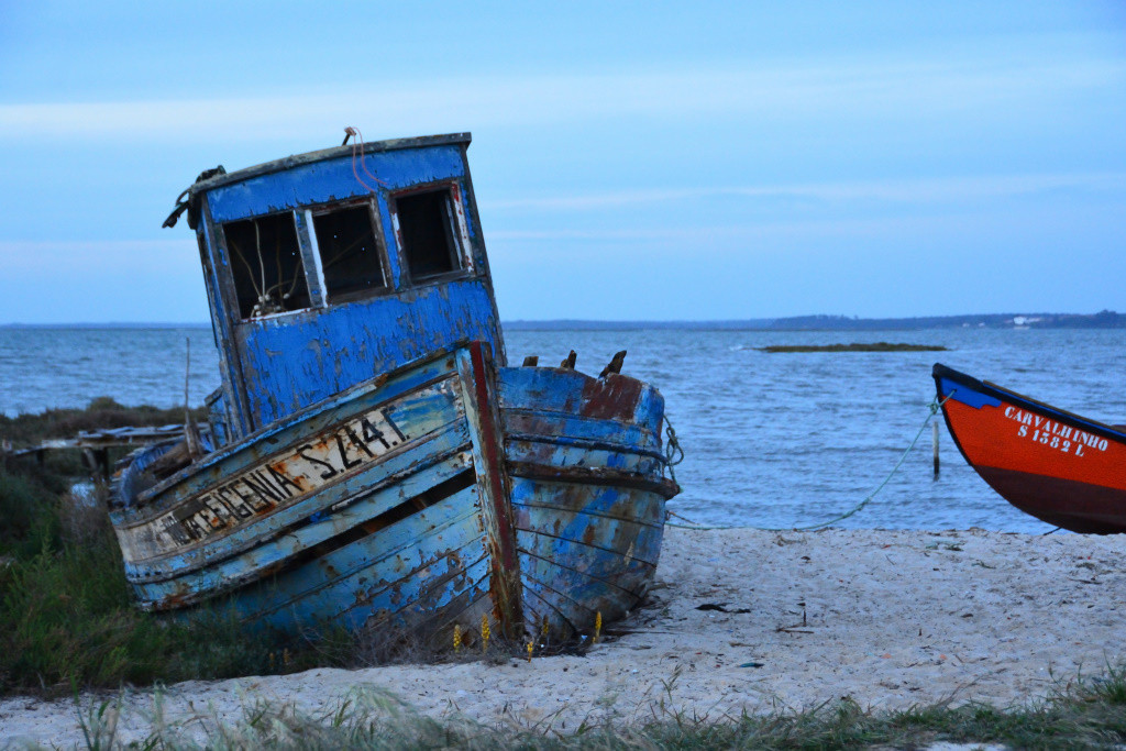 DSC_2995_02_00043.jpg DSC_2995_02_00043.jpg