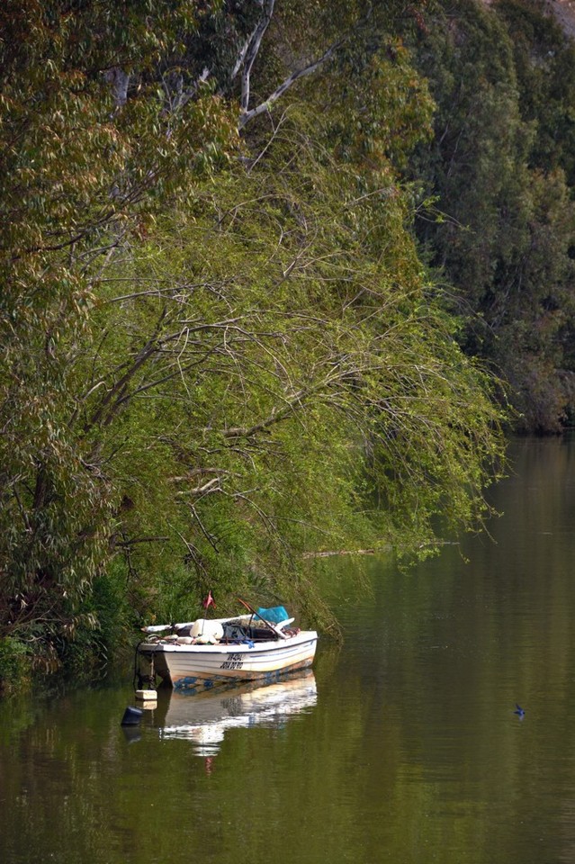 DSC_1395.jpg DSC_1395.jpg