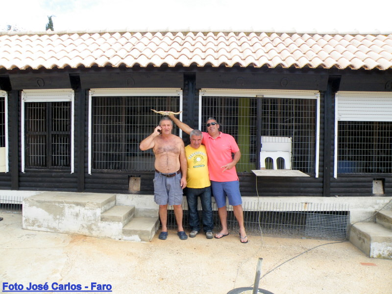 Lagos 023.JPG Lagos 023.JPG