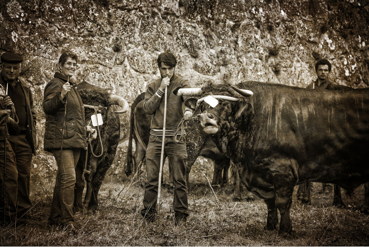 Santos 2015 (1) 279 - cópia copy.jpg