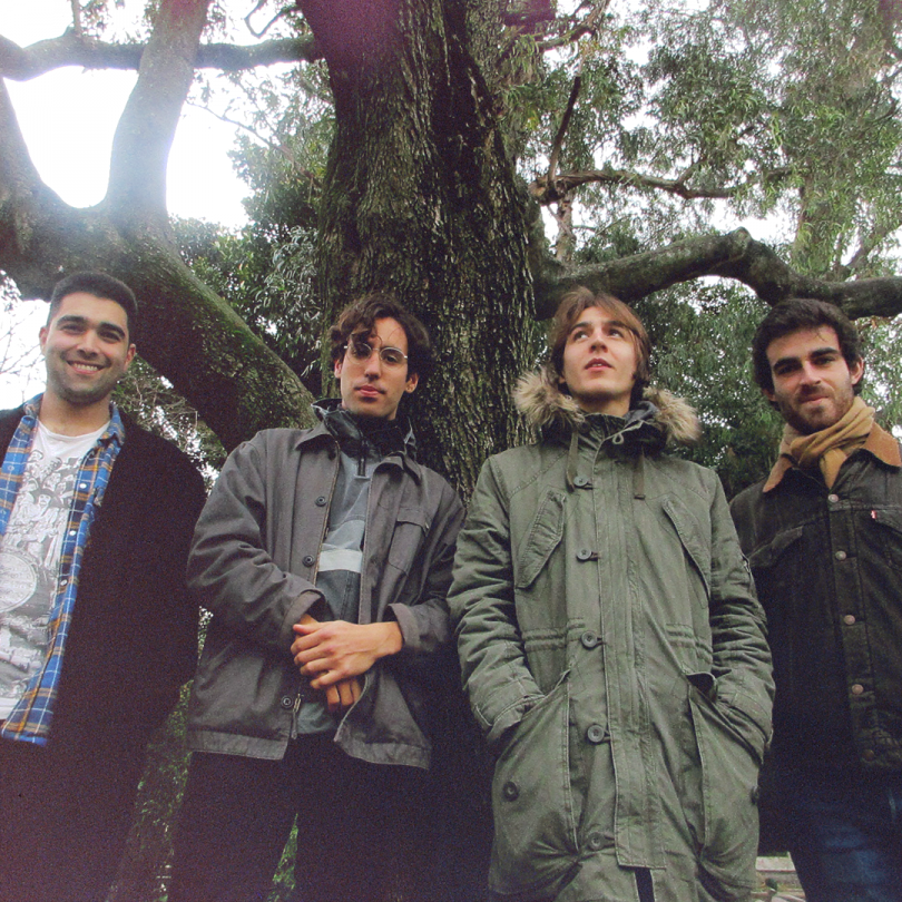 bosque.png bosque.png