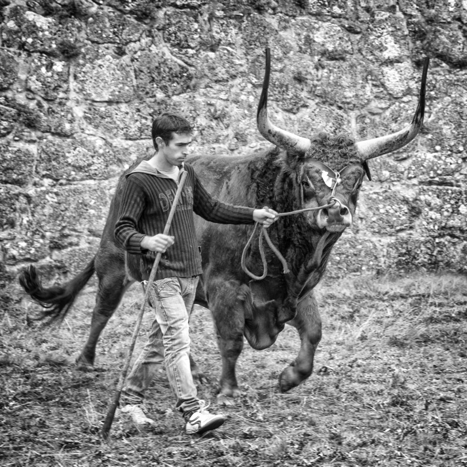 Santos 2015 (1) 274 - cópia copy.jpg