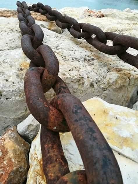 144058584_3723819431064736_3695964677114837990_n.j