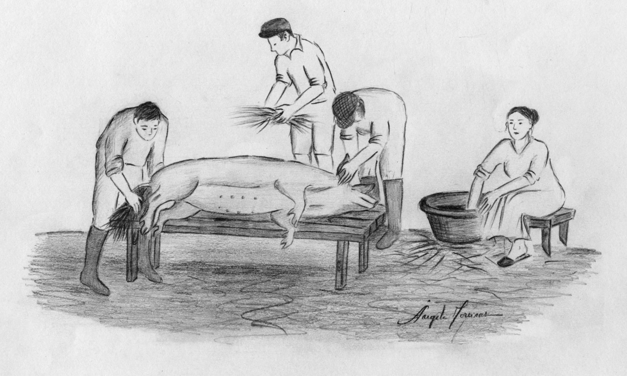 matanca-do-porco.jpg