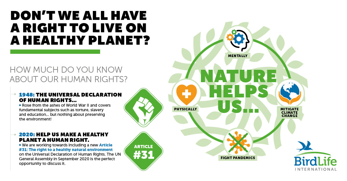 human_rights_eng_1200x628.jpg human_rights_eng_1200x628.jpg