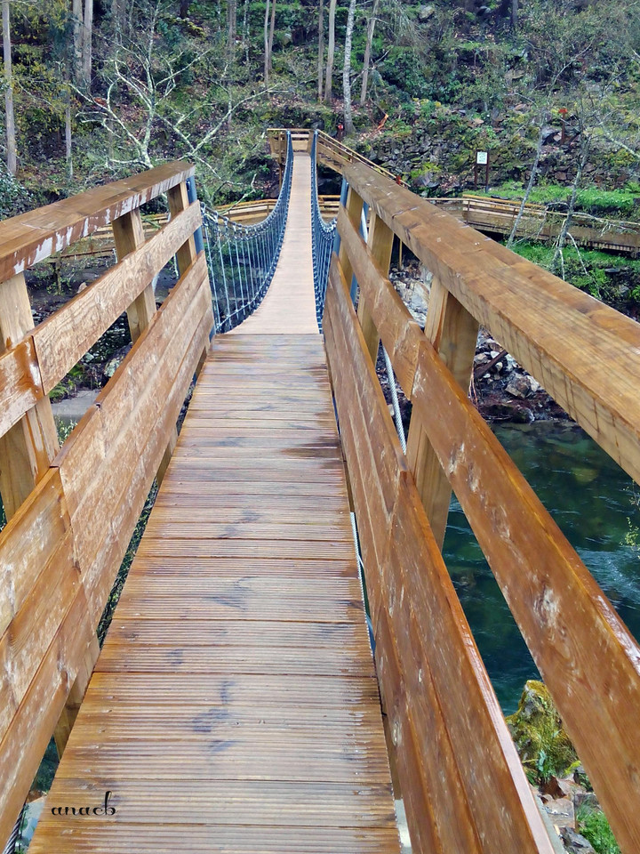 IMG_20160306_152503 cópia assin.jpg