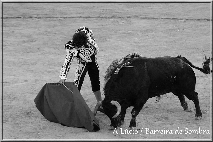 IMG_6692.JPG IMG_6692.JPG