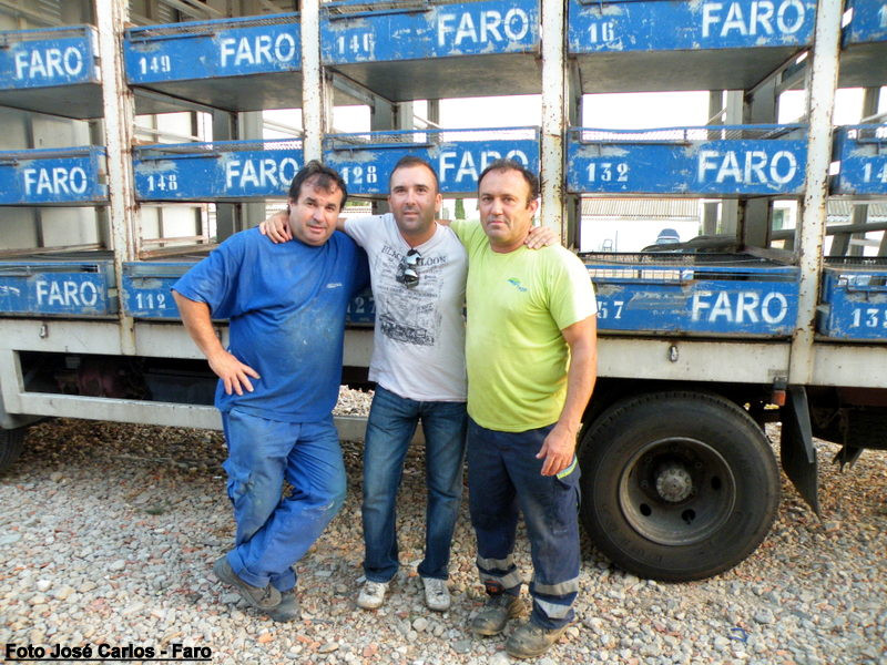 Derby Faro 2016 009.JPG