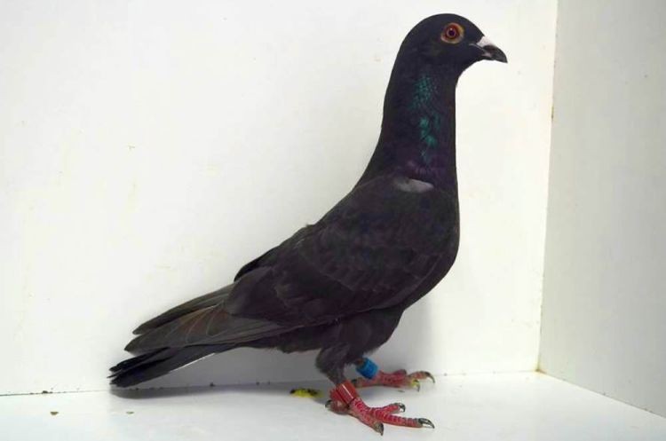 036555-16.jpg 036555-16.jpg