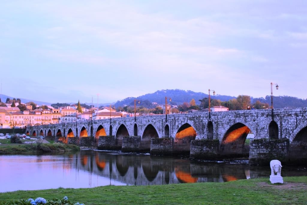 IMG_8225.JPG IMG_8225.JPG