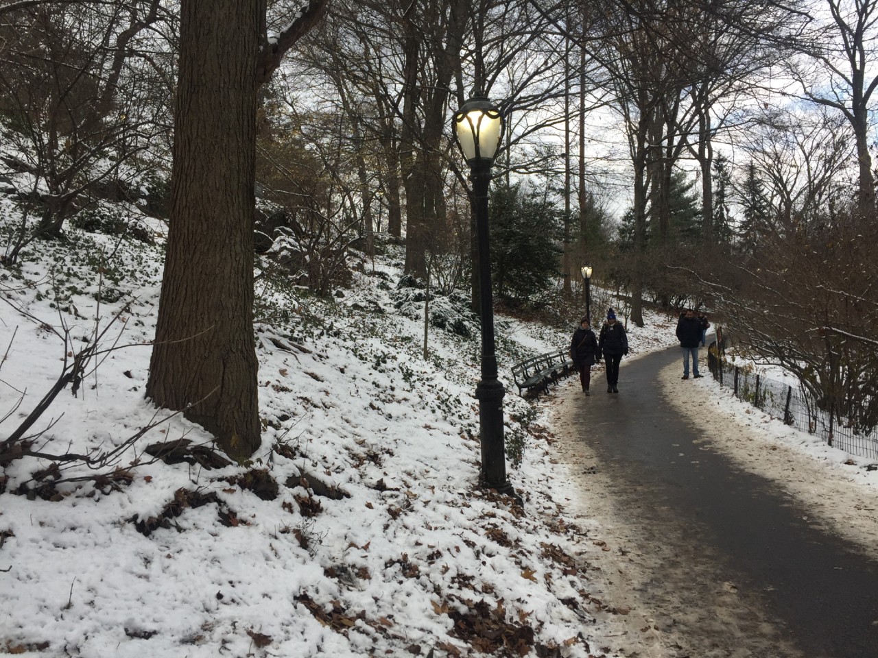 IMG_8489.JPG IMG_8489.JPG