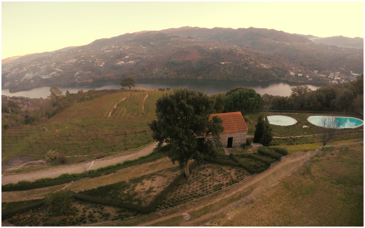  Douro Palace