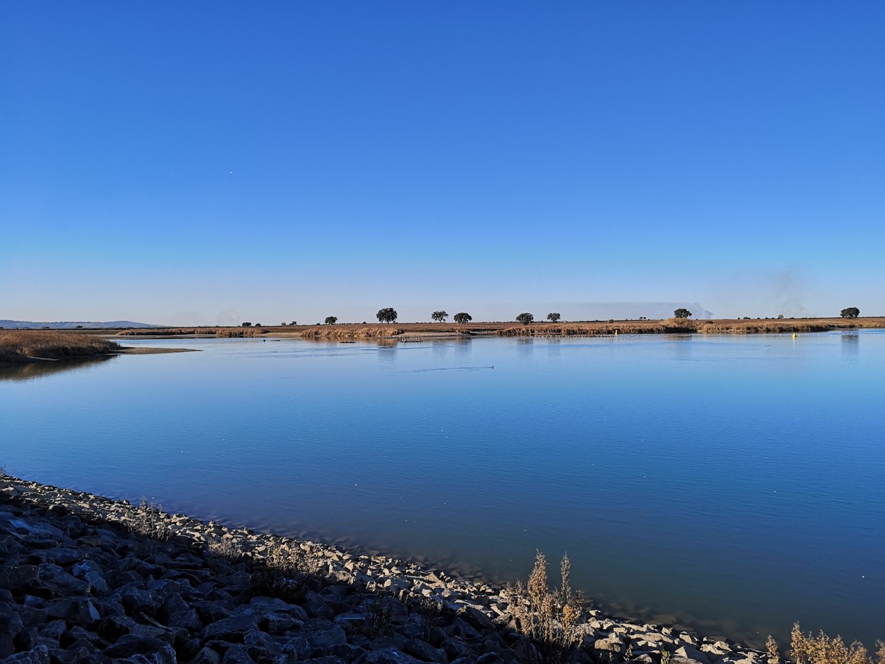 Albufeira de Cinco Reis (9).jpg