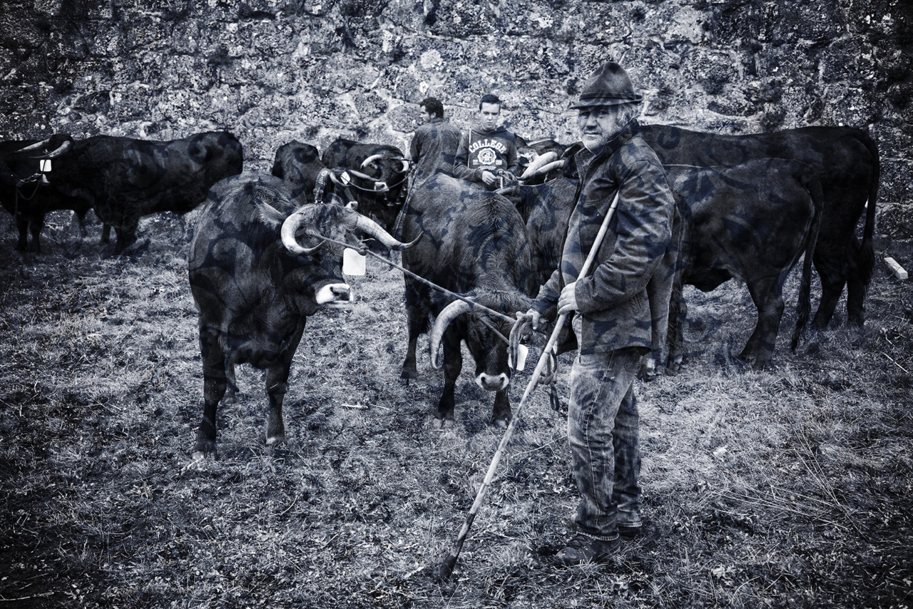 Santos 2015 (1) 302 - cópia copy.jpg