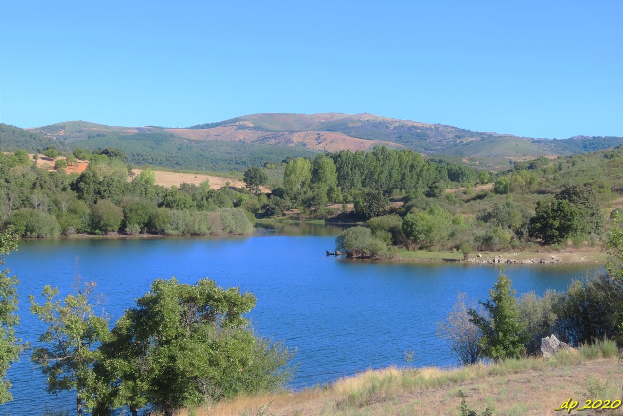 IMG_0309.JPG IMG_0309.JPG