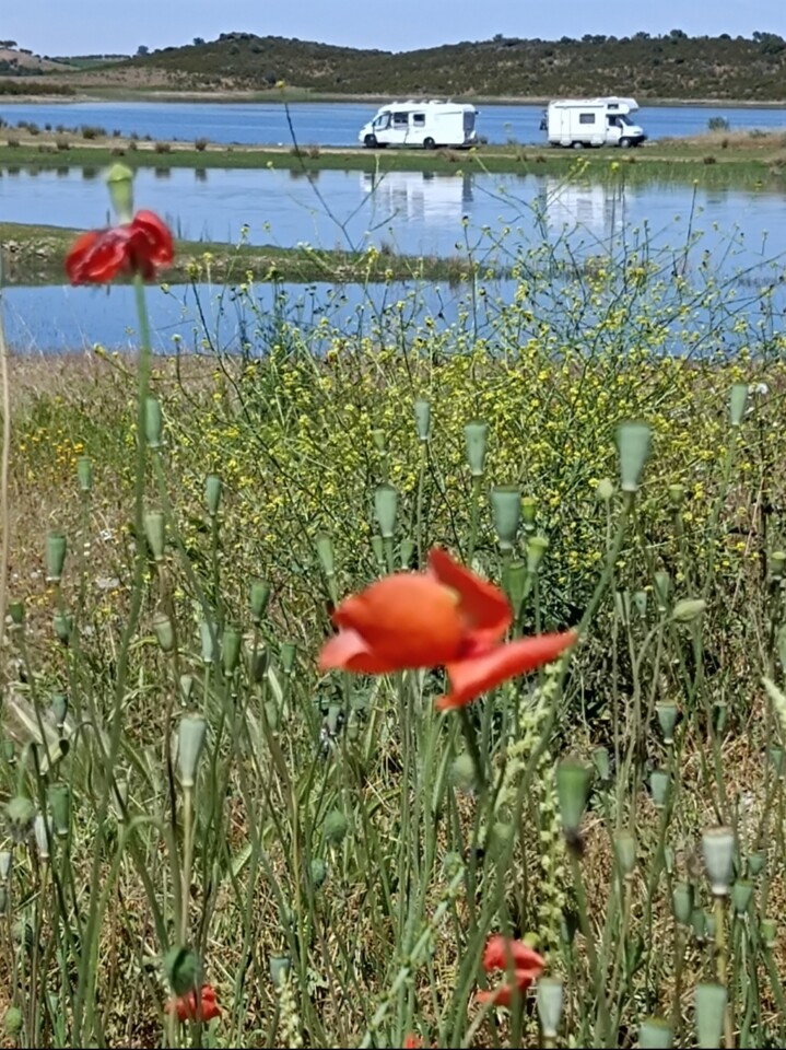 Screenshot_2023-05-04-14-15-48-832-edit_com.miui.g