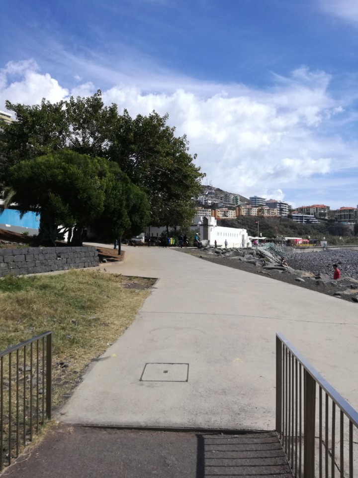 IMG_20190303_130411.jpg IMG_20190303_130411.jpg