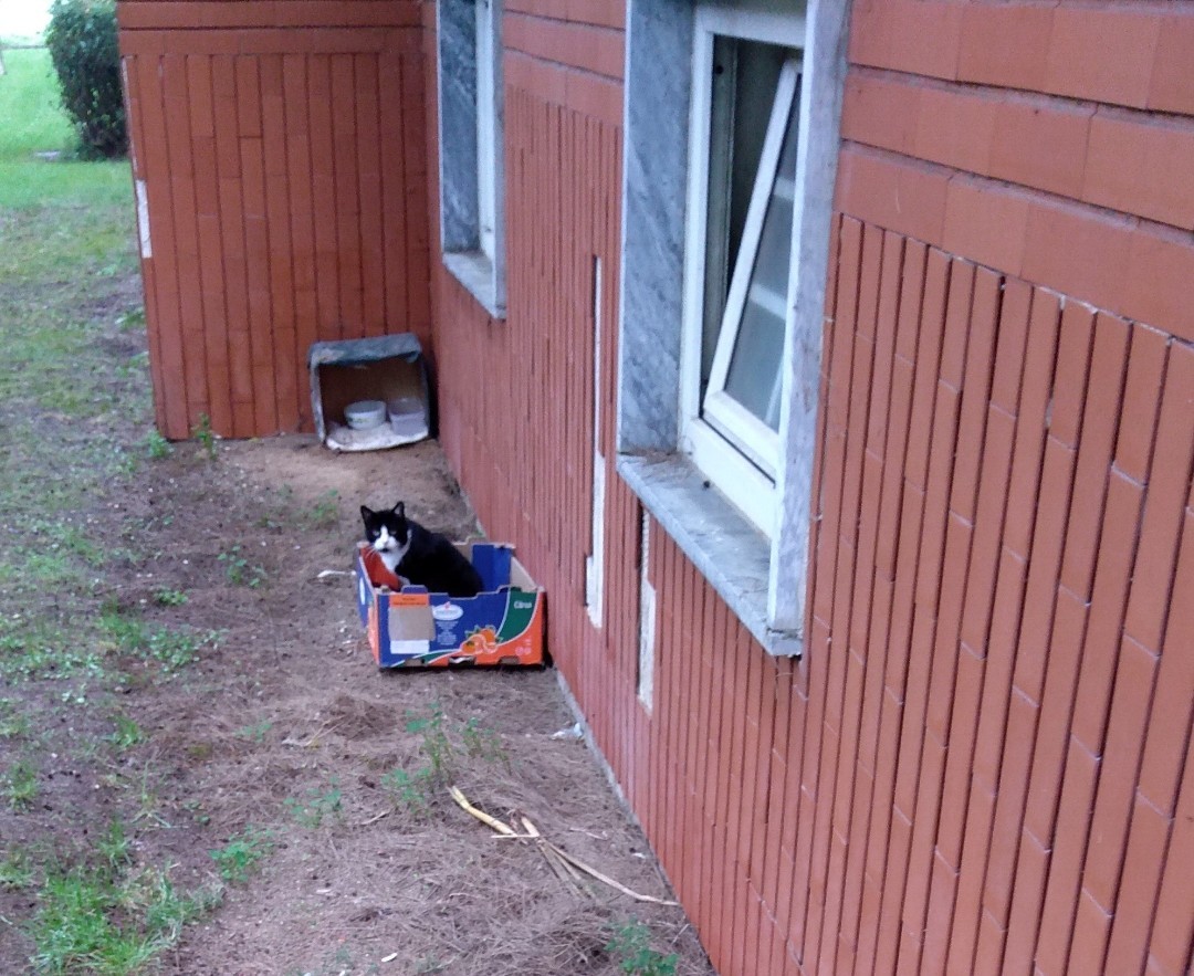 SquarePic_20191102_17530960.jpg SquarePic_20191102_17530960.jpg