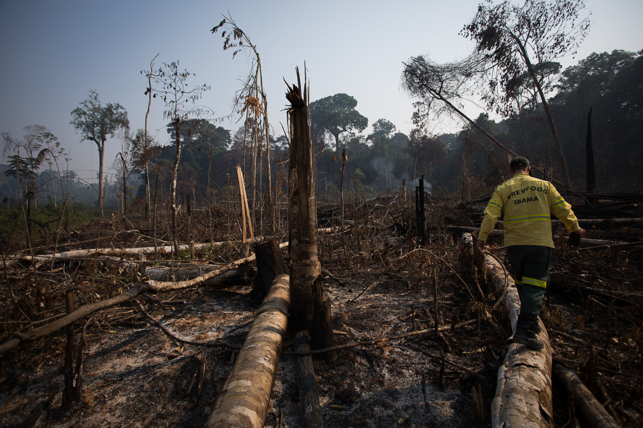 Brigadistas do Prev Fogo do Ibama, checam area de floresta derrubada e queimada no municipio de Apui, Amazonas. Foto: Bruno Kelly/Amazonia Real