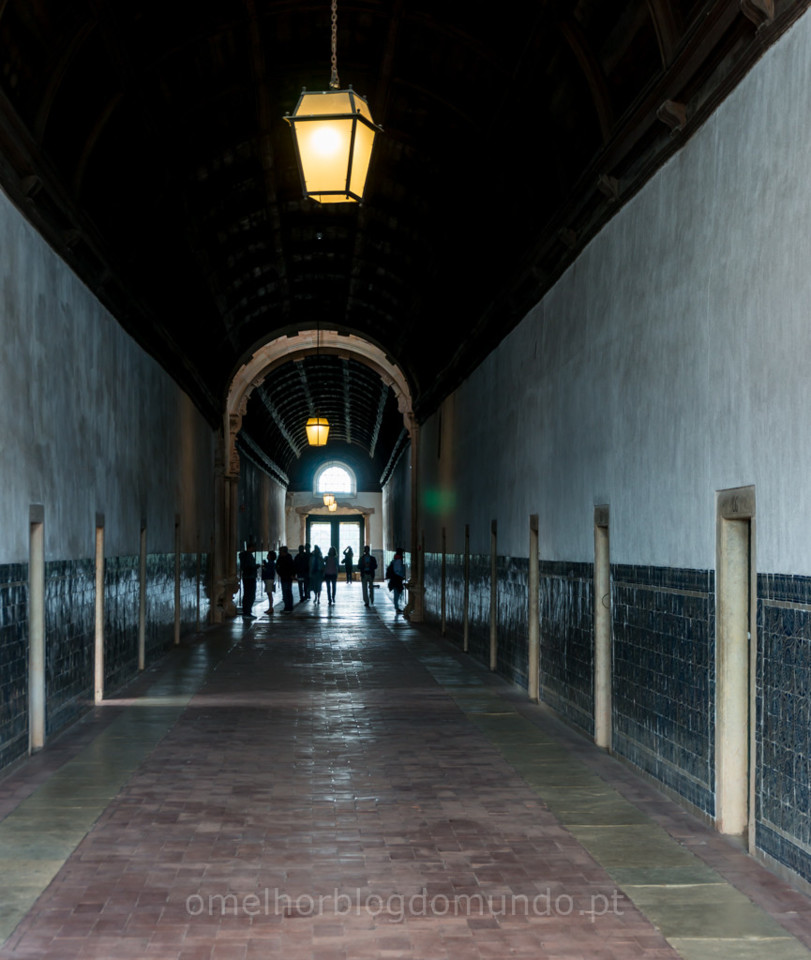 _DSC7241.jpg _DSC7241.jpg